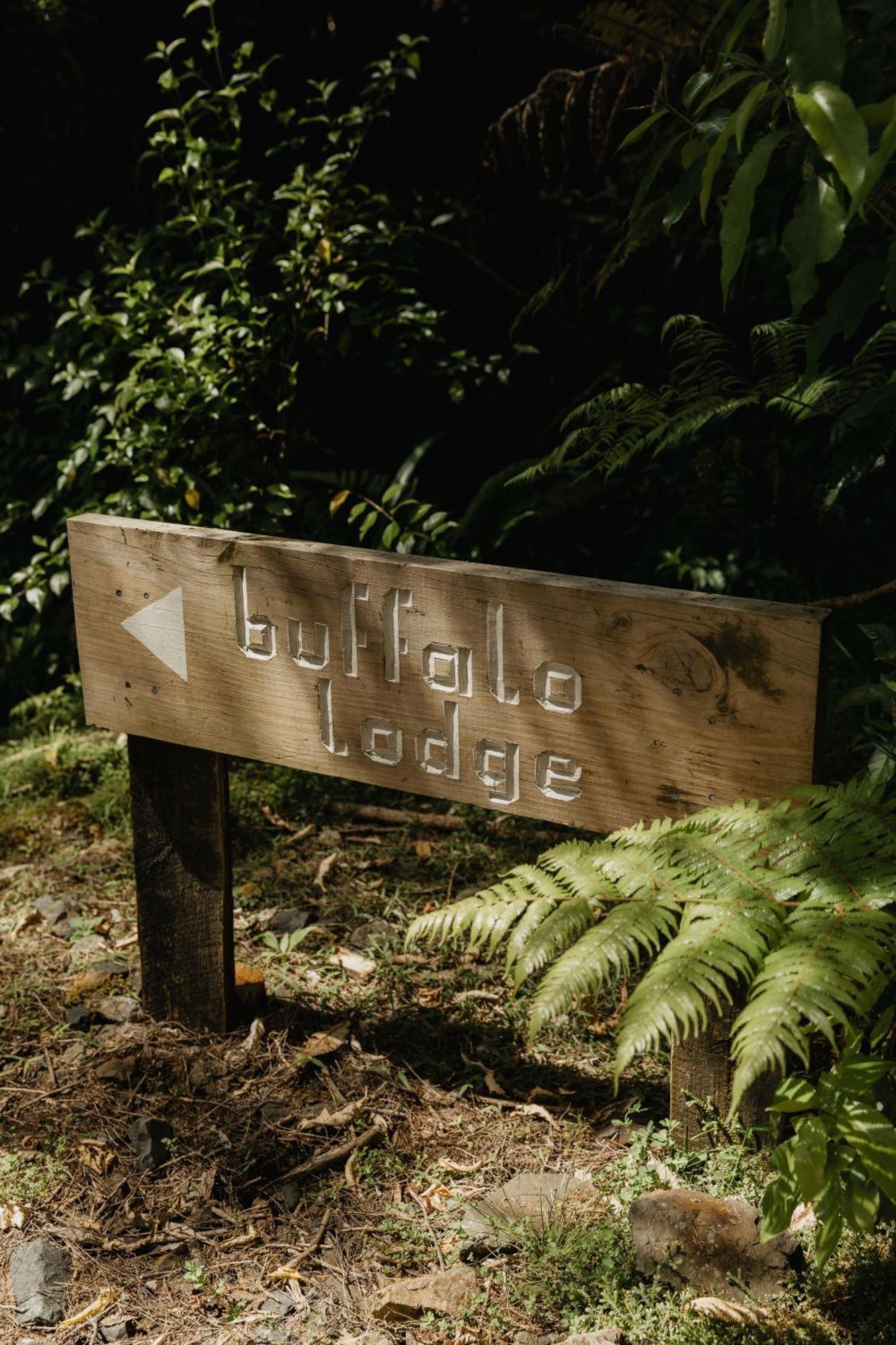 Buffalo Lodge Coromandel Exterior foto