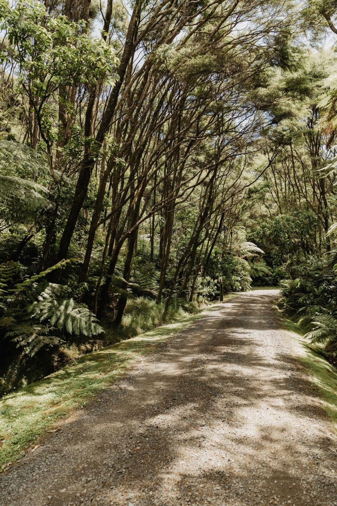 Buffalo Lodge Coromandel Exterior foto